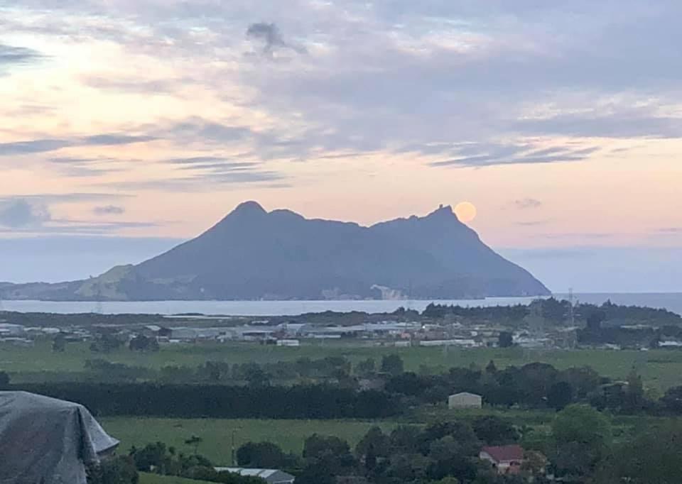 Moko Hiwi Escape - Kotare Suite Ruakaka Dış mekan fotoğraf